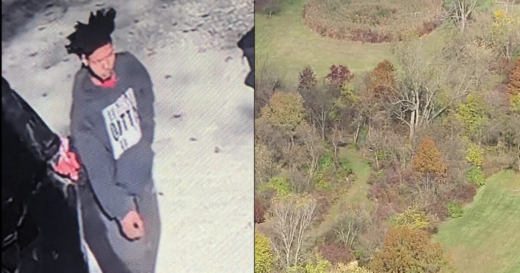 Police search wooded area in Huron Township for suspect wanted on multiple felonies
