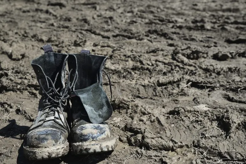 man hides in muddy swamp after fleeing traffic stop: PCSO