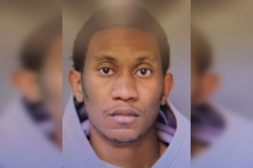 Urgent Search for Missing 25-Year-Old Mihkail Vilien, Last Seen in Chicago’s 16th District