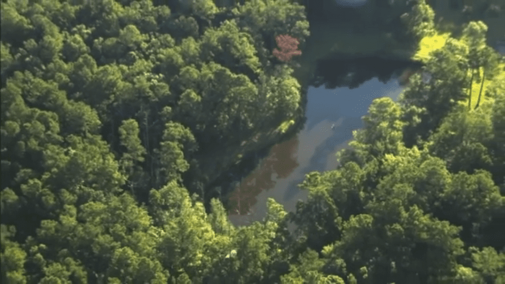 Mom claimed husband took phone and car keys before she tried to drown her kids, deputies say