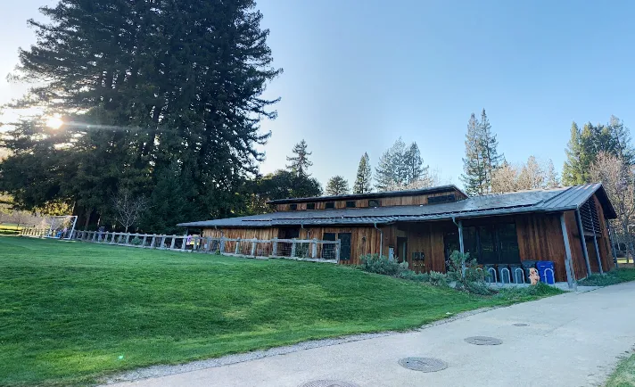 Rabid bat confirmed at Portola Valley Town Center