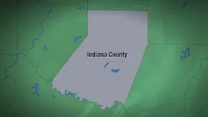 Man, 23, killed in side-by-side crash in Indiana County