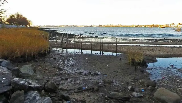 Mother Charged with Attempted Murder of Her Baby After Retired NYPD Officer Pulls Them from River“”