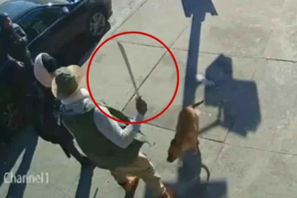 Machete Attack Suspect With 45 Priors Accused in Deadly NYC Hit-and-Run