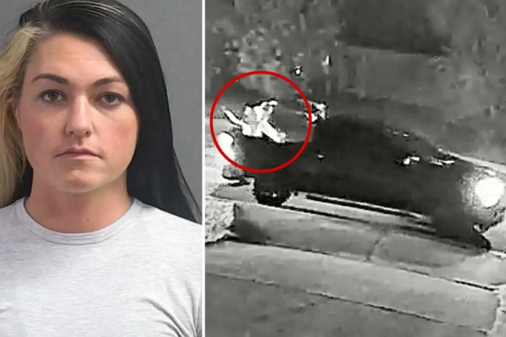 Red-Stained Tampons Cover Lawn, Florida Firefighter Now Facing Charges