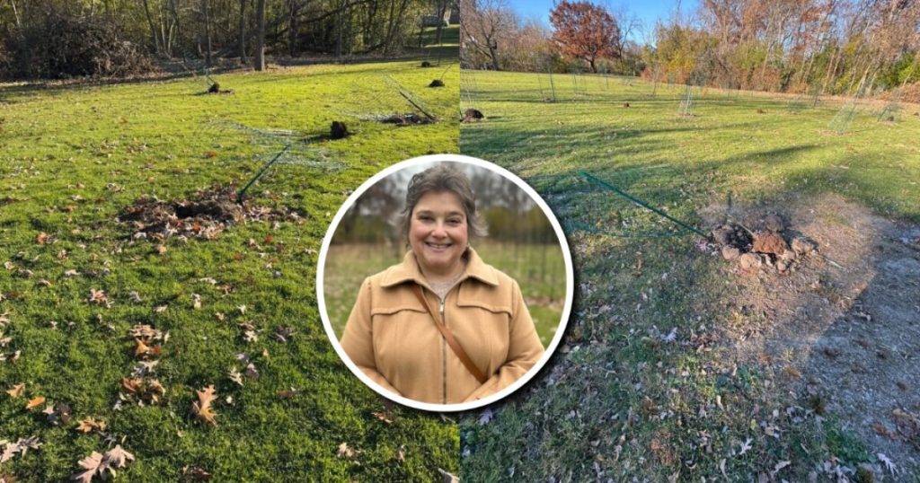Community frustrated as Dozens of newly planted trees were vandalized at a Milwaukee County park
