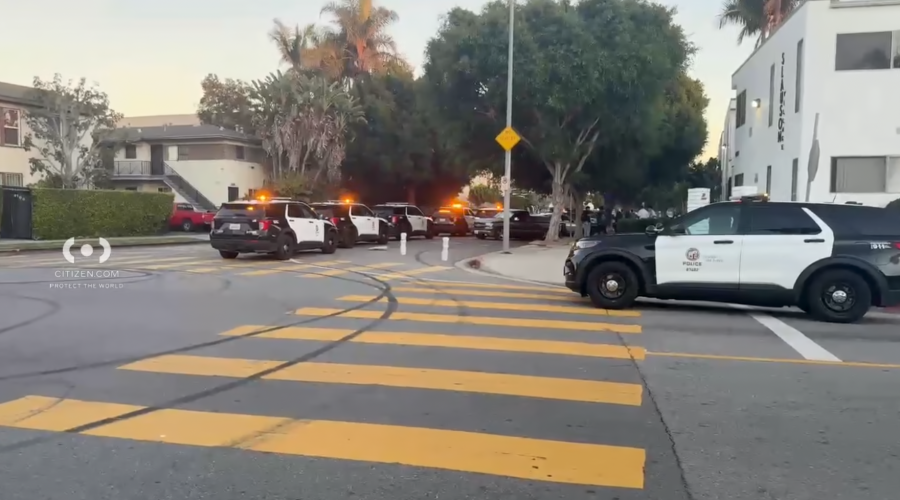 Girl, 8, grazed by stray bullet that pierced wall of family’s L.A. apartment