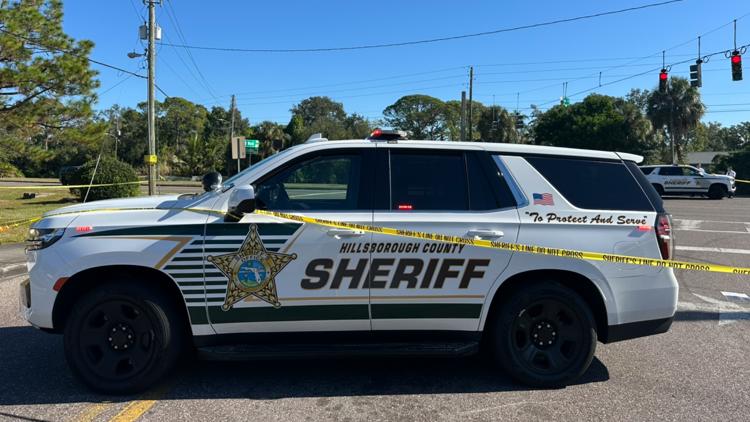 Deputies: 6-year-old killed, her mother and brother hospitalized after family hit in Tampa crosswalk