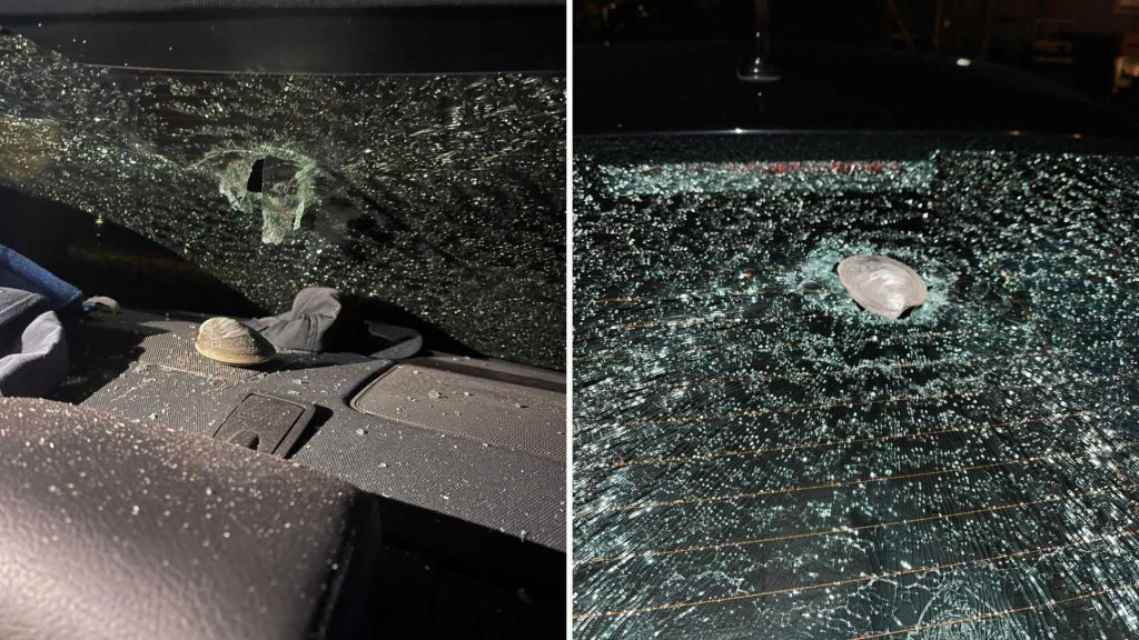 Cruiser window smashed by falling quahog in Mass.