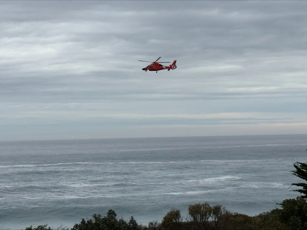 Rescuers Search for 5-Year-Old Swept Into Ocean After Father Dies