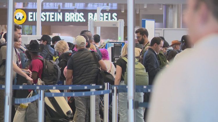 Flight delays could last weeks after government reopens, controllers association says
