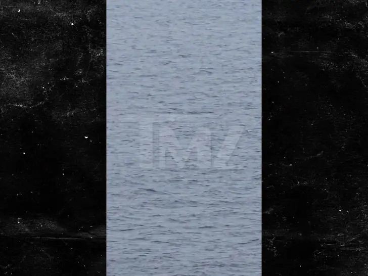 Carnival Cruise Passenger Goes Overboard Off Mexican Coastline