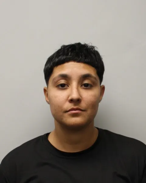 Lowell woman previously convicted in fatal road-rage shooting arrested again on drug, ammo charges