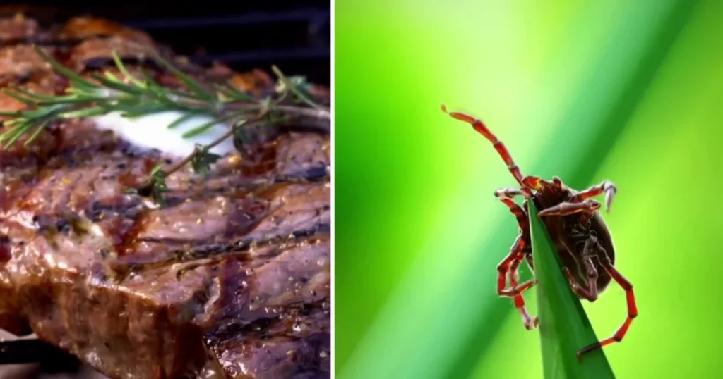 First reported death from meat allergy caused by tick bite