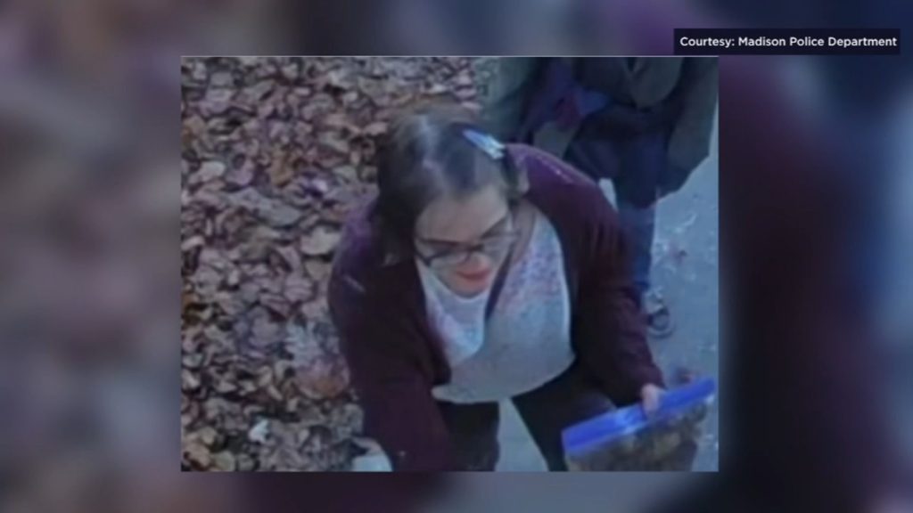 Slender Man’ stabbing assailant Morgan Geyser arrested in Posen after fleeing group home: police