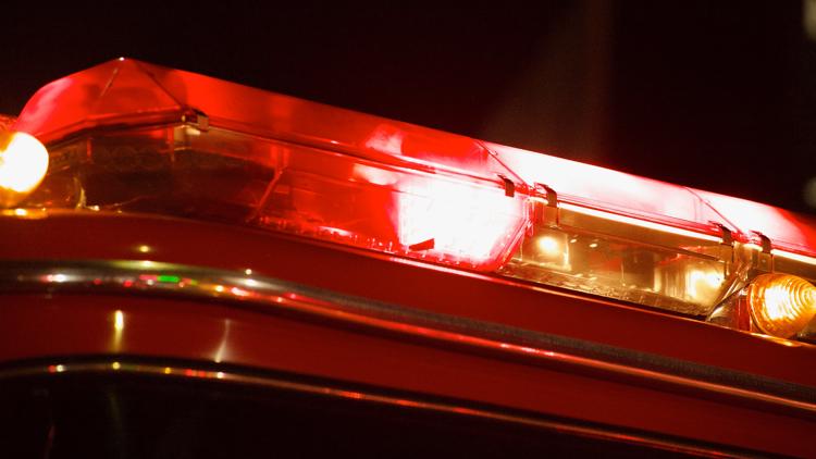 Resident severely burned, 1 dog and 3 cats killed in Lafayette house fire