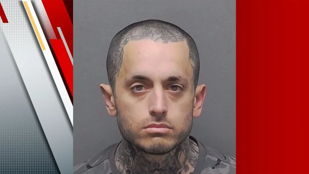 Suspect in Southwest Side kitten killing case had previous arrest for harming person, records show