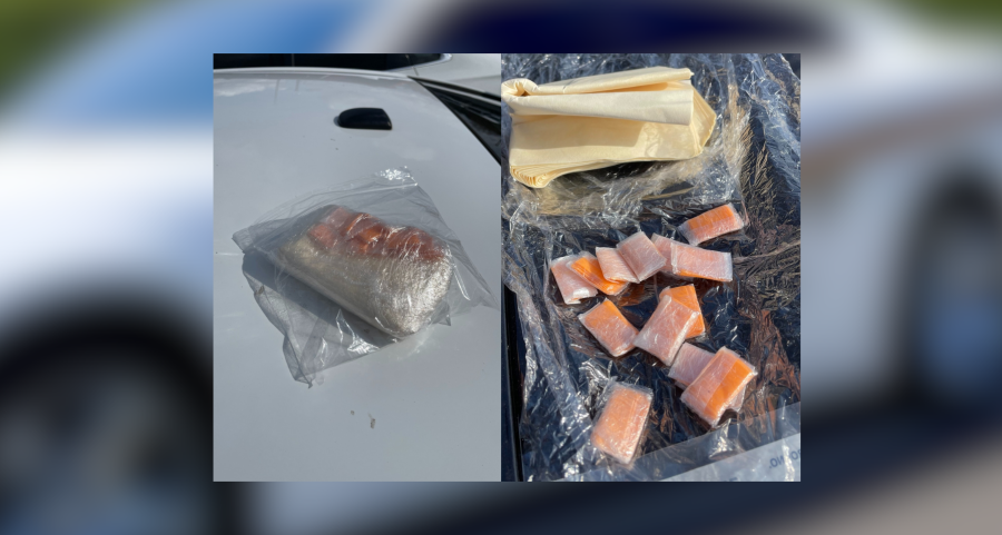 Nash Correctional Institute officer charged in drug smuggling investigation involving inmate, deputies say