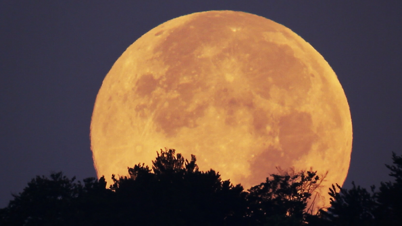 Sullivan County commissioner arrested in Asheville