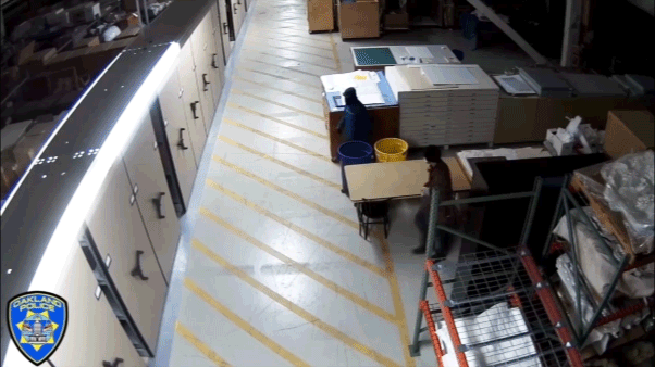 Video shows masked thieves raiding art museum artifacts in bold overnight heist: officials