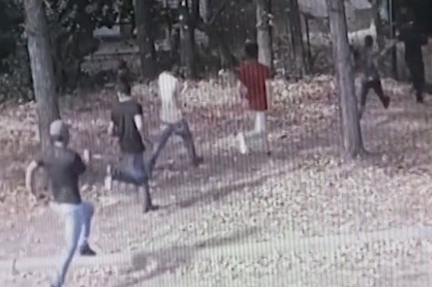 Surveillance video shows terrified people fleeing as masked ICE agents storm North Carolina laundromat