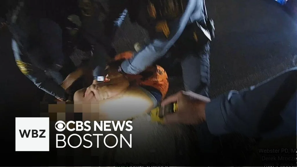Videos shows Webster Police hitting teen during arrest