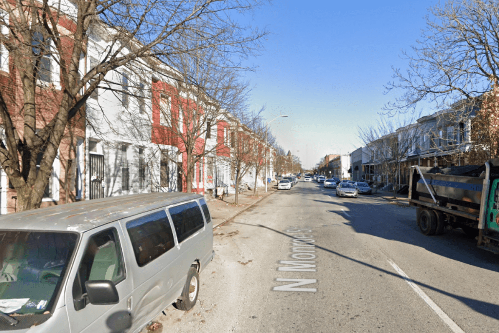 West Baltimore Community Shaken as Police Investigate Dismemberment of Kitten