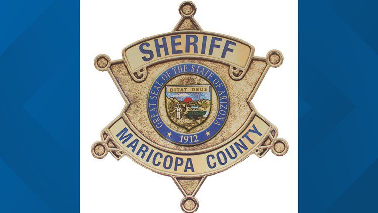 Horse euthanized after being hit by vehicle, rider uninjured