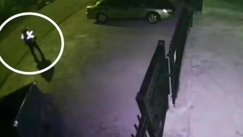 CAUGHT ON CAMERA: Man allegedly setting trash and dumpsters on fire in Gulfgate