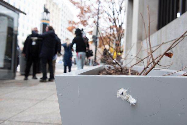 Bullet holes and blood stains spotted on Washington Dc sidewalk after National Guard shooting