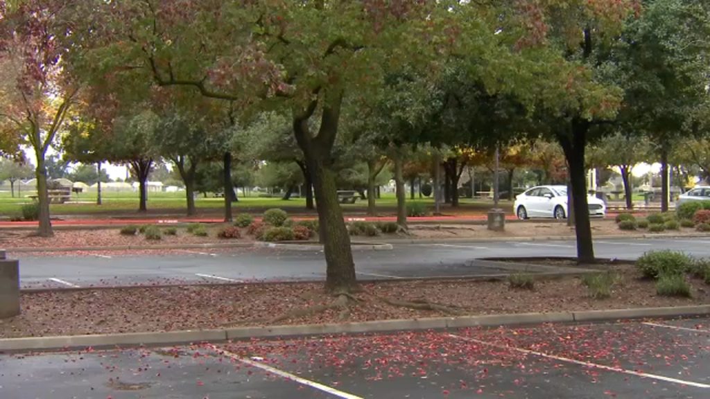 Teen stabbed at West Central Fresno park, police say