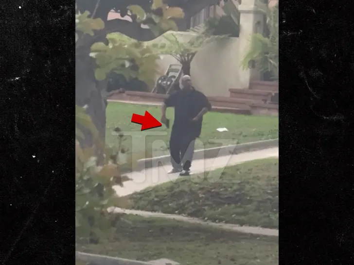 LAPD Arrests Man Who Allegedly Shot at Police Helicopter, Shooting On Video