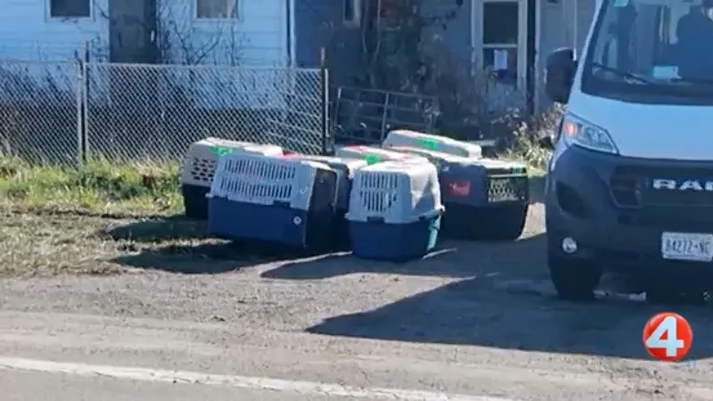 Brant animal cruelty investigation turns up dead goats, bones, seizure of dozens of animals