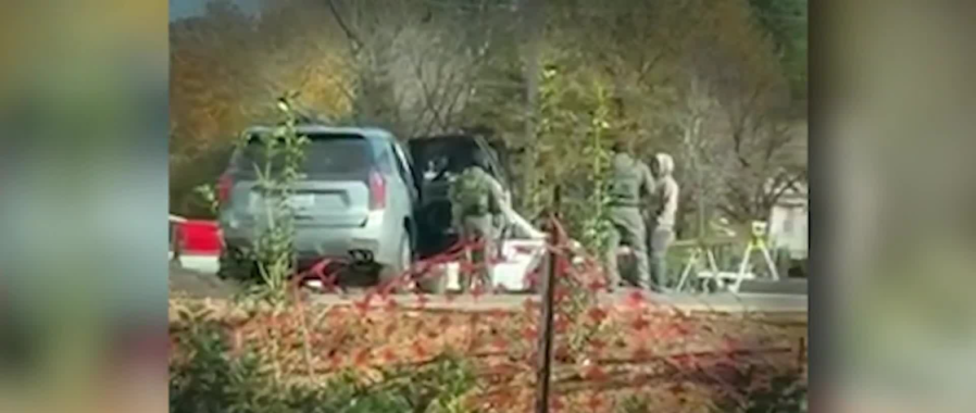 Snatched him and put him in the van’: Immigration agents seen in action in Cary