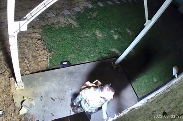 Police shoot and kill 13-year-old suspected of murdering his grandmother