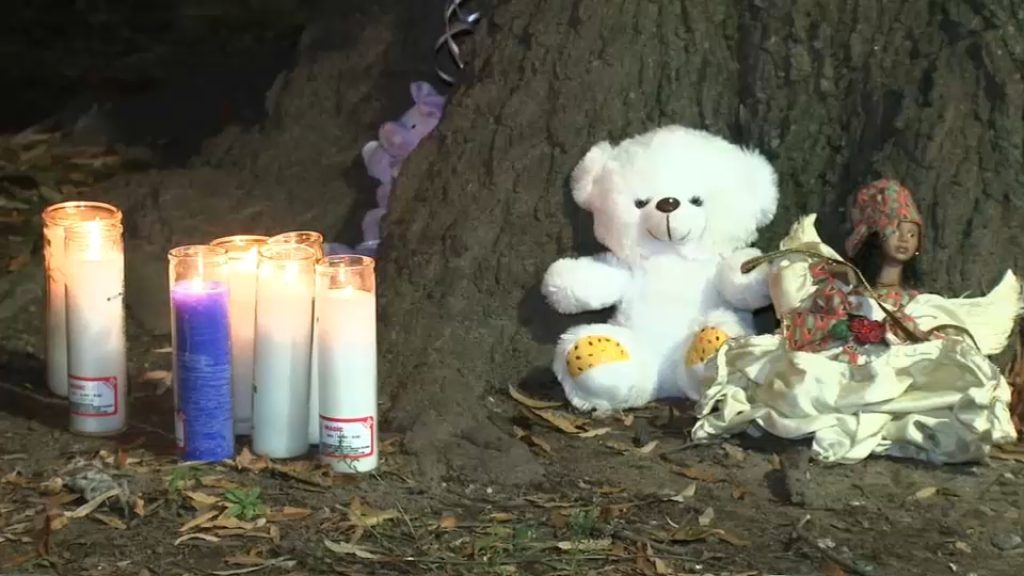 Investigation underway after remains of fetus found in black bag in Brooklyn