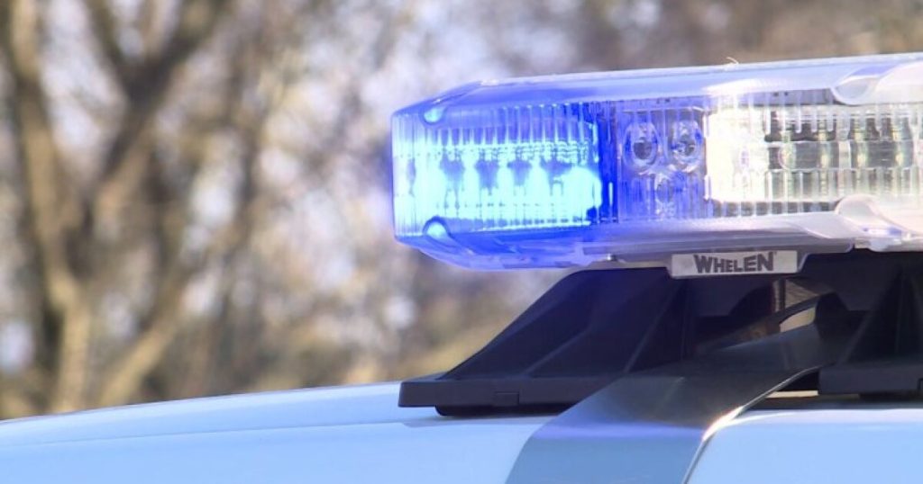 Very disturbing’: Son shoots mother multiple times, arrested in Detroit