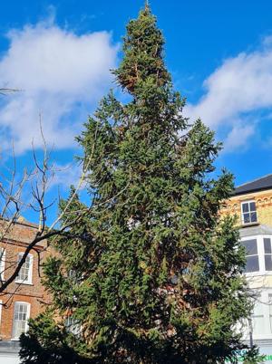 Town demands new Christmas tree after last one dubbed a ‘disgrace’