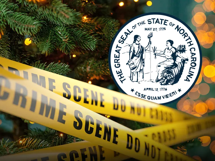North Carolina Christmas Tree Lighting Event Turns Into Bloodbath