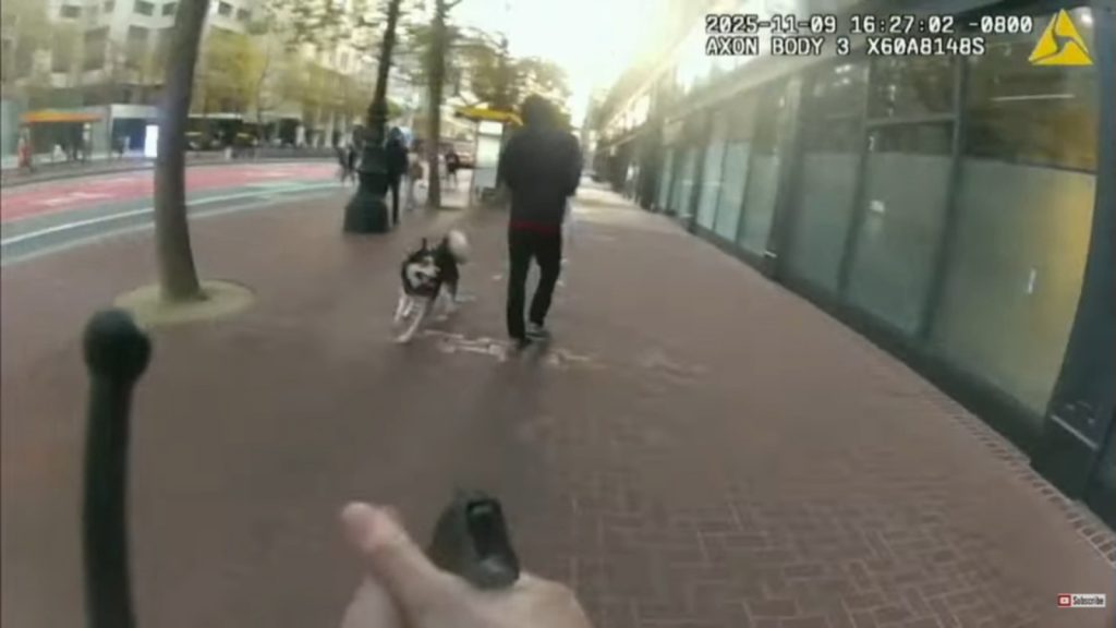 Police release bodycam video of officer shooting man, ‘aggressive’ dog in San Francisco