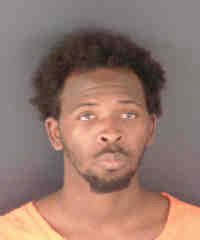 Deputies Arrest Man After Footage Shows Dog Being Choked and Dragged in St. Petersburg