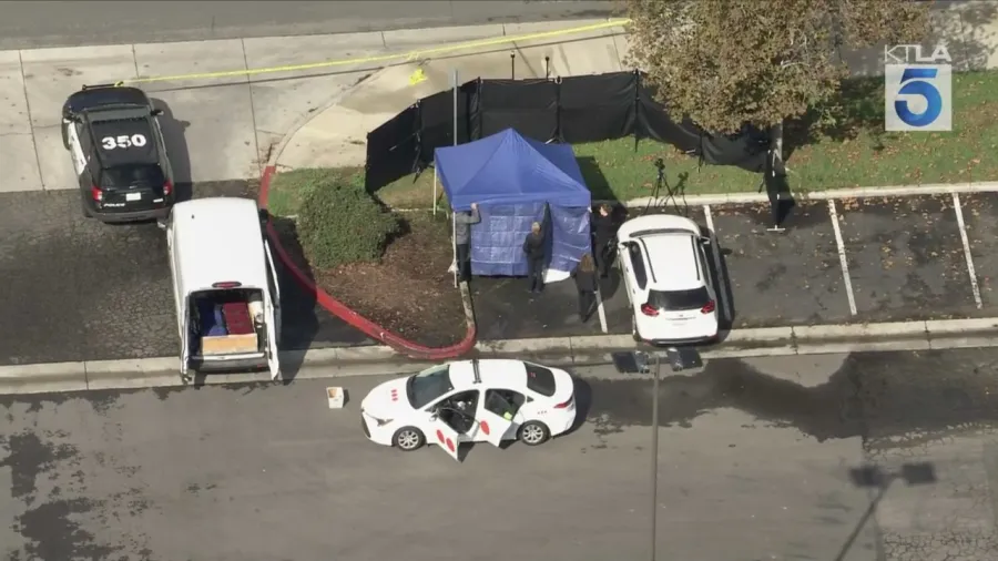 Southern California police fatally shoot man who allegedly swung tire iron at cars