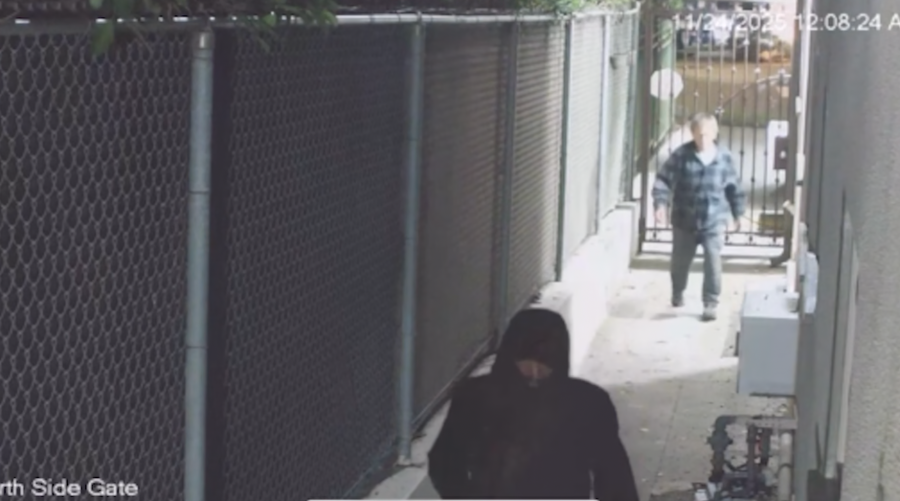 Hot prowlers’ on loose in Hollywood, 2 apartment buildings hit