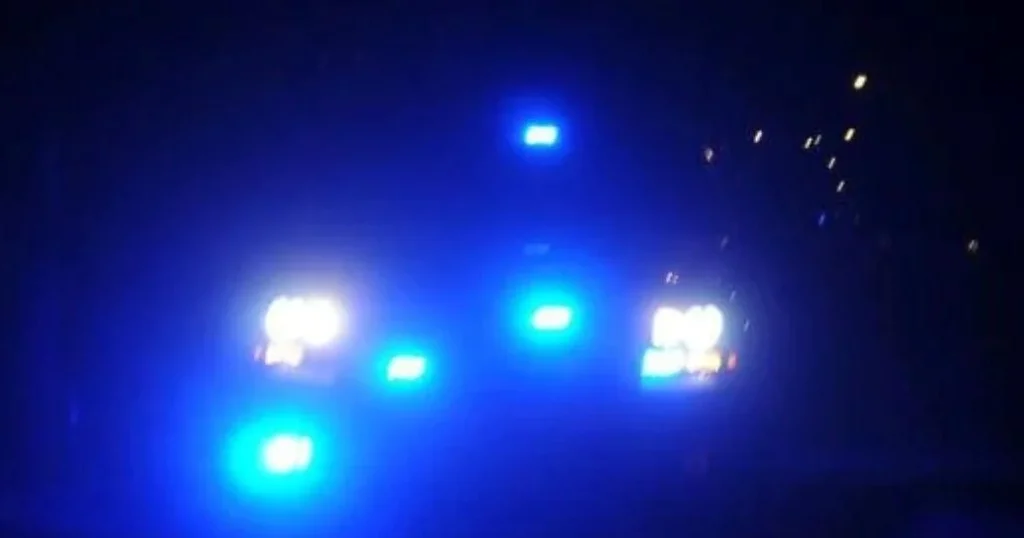 Florence grocery employee pistol-whipped, shot