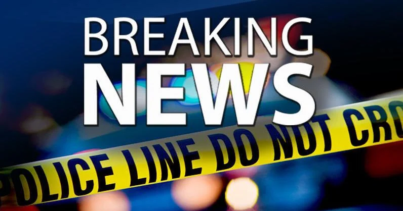 Pedestrian dies after being struck by vehicle at Absecon intersection