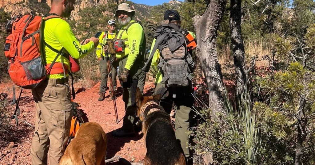 Human remains found in remote area of Chiricahua Mountains