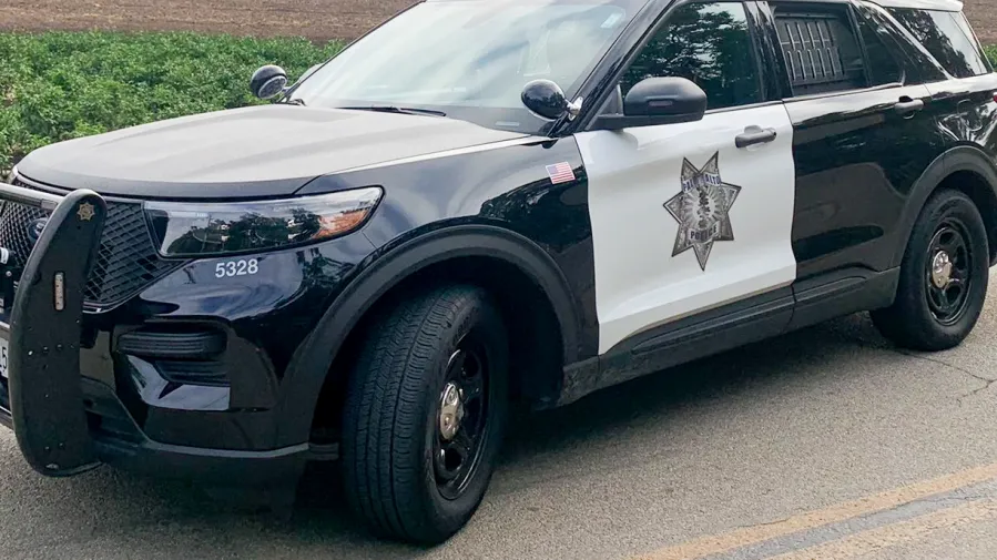 Palo Alto home intruders at large