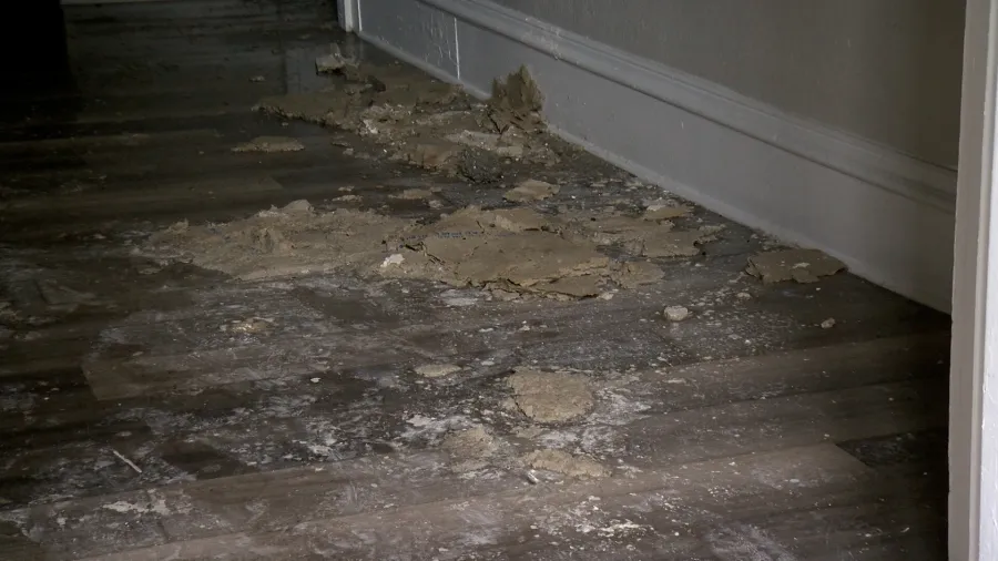 Thanksgiving Eve fire leaves Clearwater apartment tenants still searching for stability