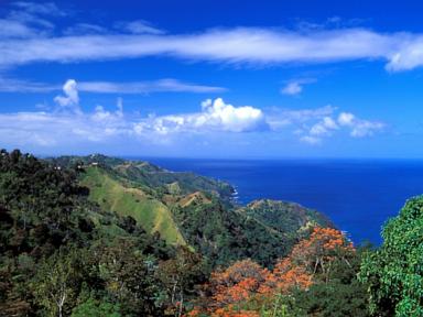 Police investigate after American man found fatally stabbed in Tobago