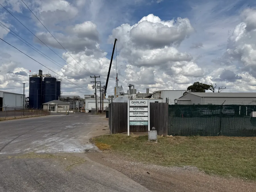 Bastrop ‘death’ smell complaints near all-time high